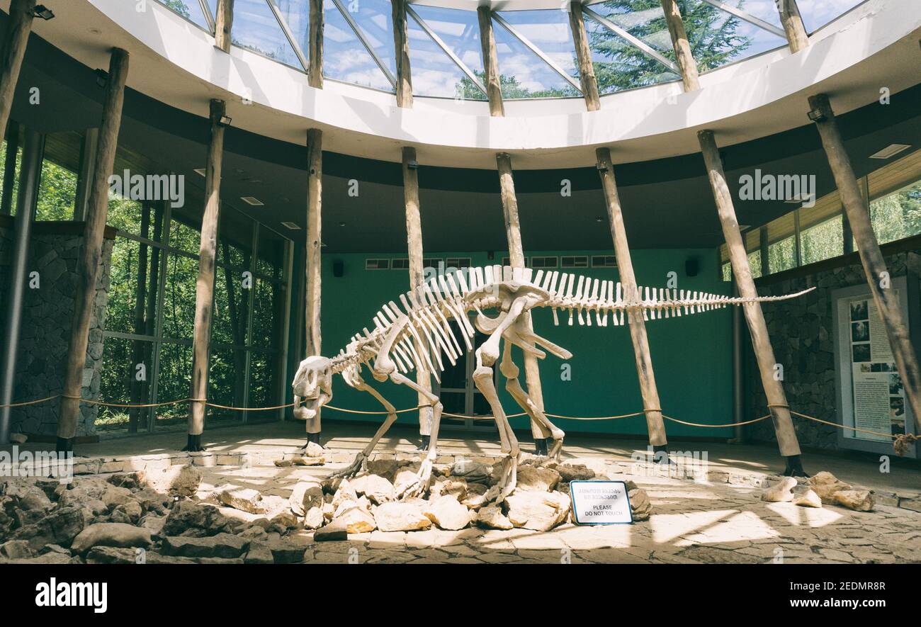 Dinosaurier Stockfoto