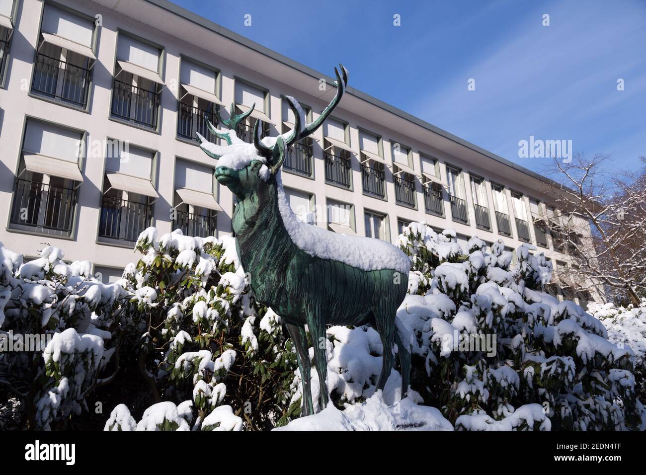 31,01.2021, Bremen, Bremen, Deutschland - verschneite Bronzeskulptur eines Hirsches und Rhododendron-Busches vor dem Parkhotel, der wichtigsten Adresse der Stadt Stockfoto