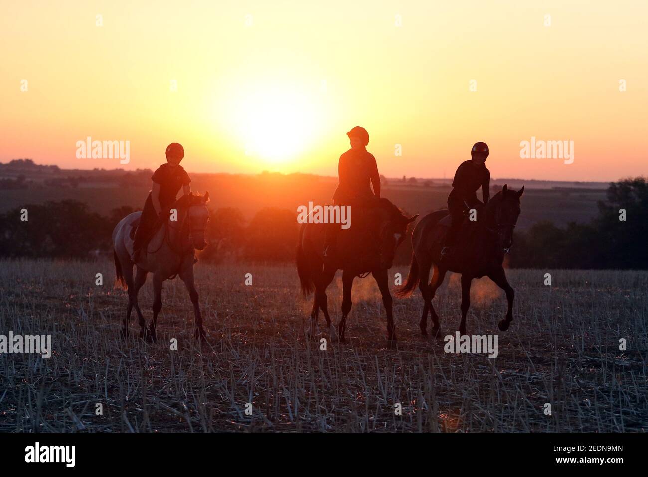 19,08.2020, Ingelheim, Rheinland-Pfalz, Deutschland - Mutter, die bei Sonnenaufgang mit ihren Töchtern über einem Stoppelfeld reitet. 00S200819D252CAROEX.JPG [MOD Stockfoto