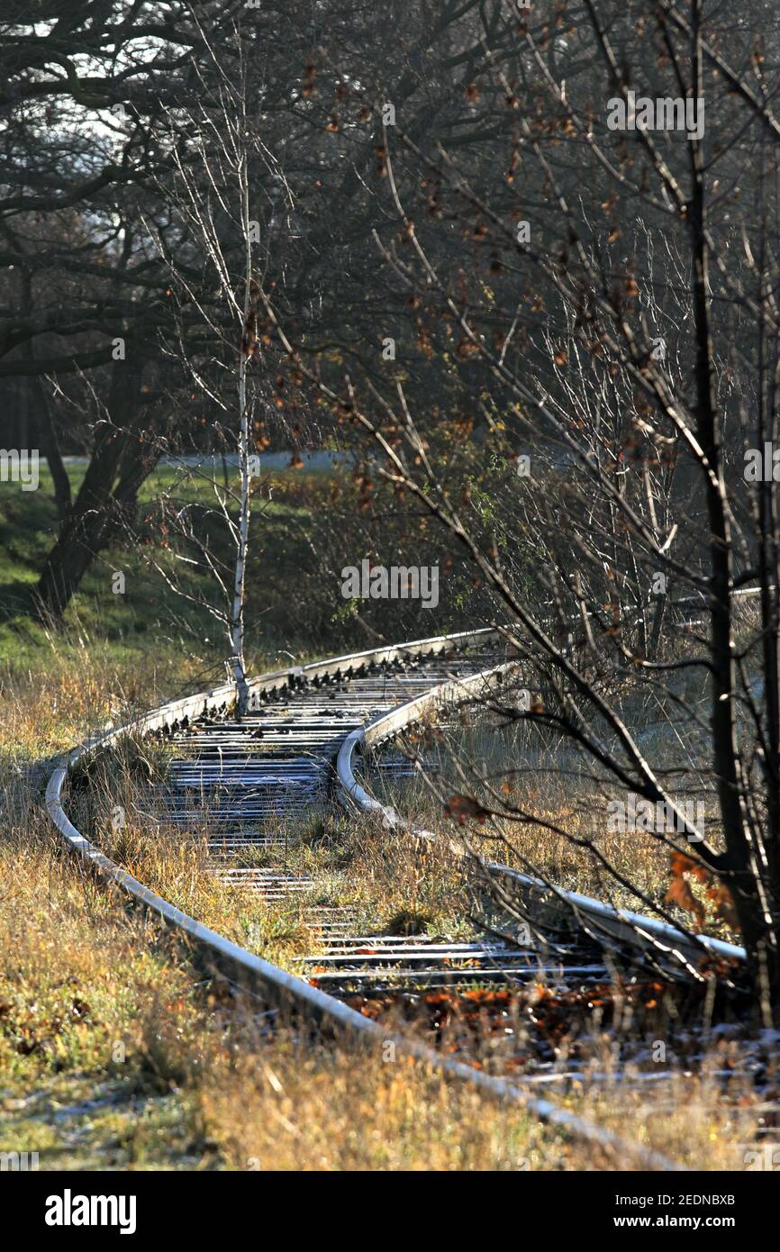 19,12.2020, Berlin, Berlin, Deutschland - Bäume wachsen im Gleisbett einer stillgelegt Bahnlinie am Tempelhofer Feld.. 00S201219D622CAROEX.JPG [MODELL RELEA Stockfoto