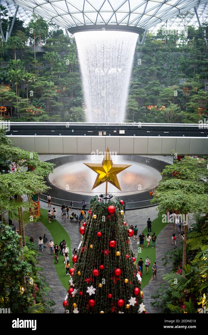 08,12.2020, Singapur, , Singapur - EIN geschmückter Weihnachtsbaum steht inmitten der weltweiten Coronavirus-Pandemie (Covid-19) im Shiseido Forest Valley o Stockfoto