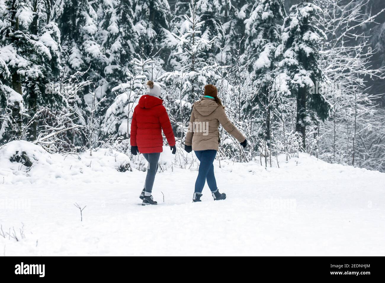 07,12.2020, Winterberg, Nordrhein-Westfalen, Deutschland - Menschen wandern auf dem Berg Kahler Asten durch die verschneite Landschaft in Zeiten der Corona Stockfoto