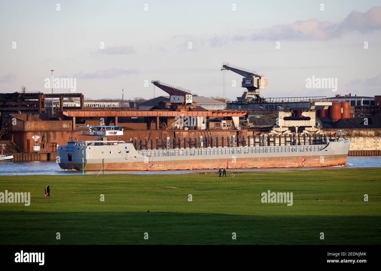 22,01.2021, Duisburg, Nordrhein-Westfalen, Deutschland - Kinderwagen auf den Rheinwiesen Rheinhausen, Frachtschiff Tripoli auf dem Rhein, hinter der Industrie Stockfoto