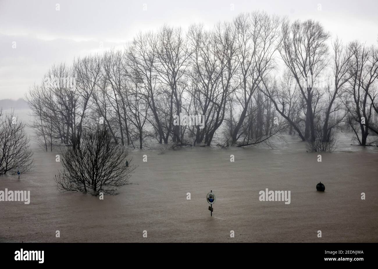 03,02.2021, Duisburg, Nordrhein-Westfalen, Deutschland - Sintflut auf dem Rhein, die Bäume auf dem Deich im Landkreis Marxloh stehen unter Wasser. 00X210203D Stockfoto