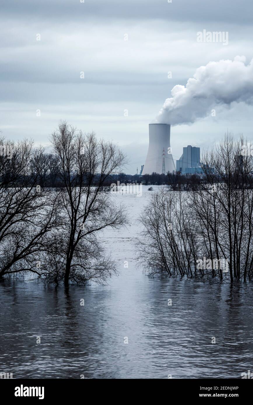 03,02.2021, Duisburg, Nordrhein-Westfalen, Deutschland - Hochwasser am Rhein, am Deich im Landkreis Marxloh die Bäume stehen unter Wasser, im b Stockfoto