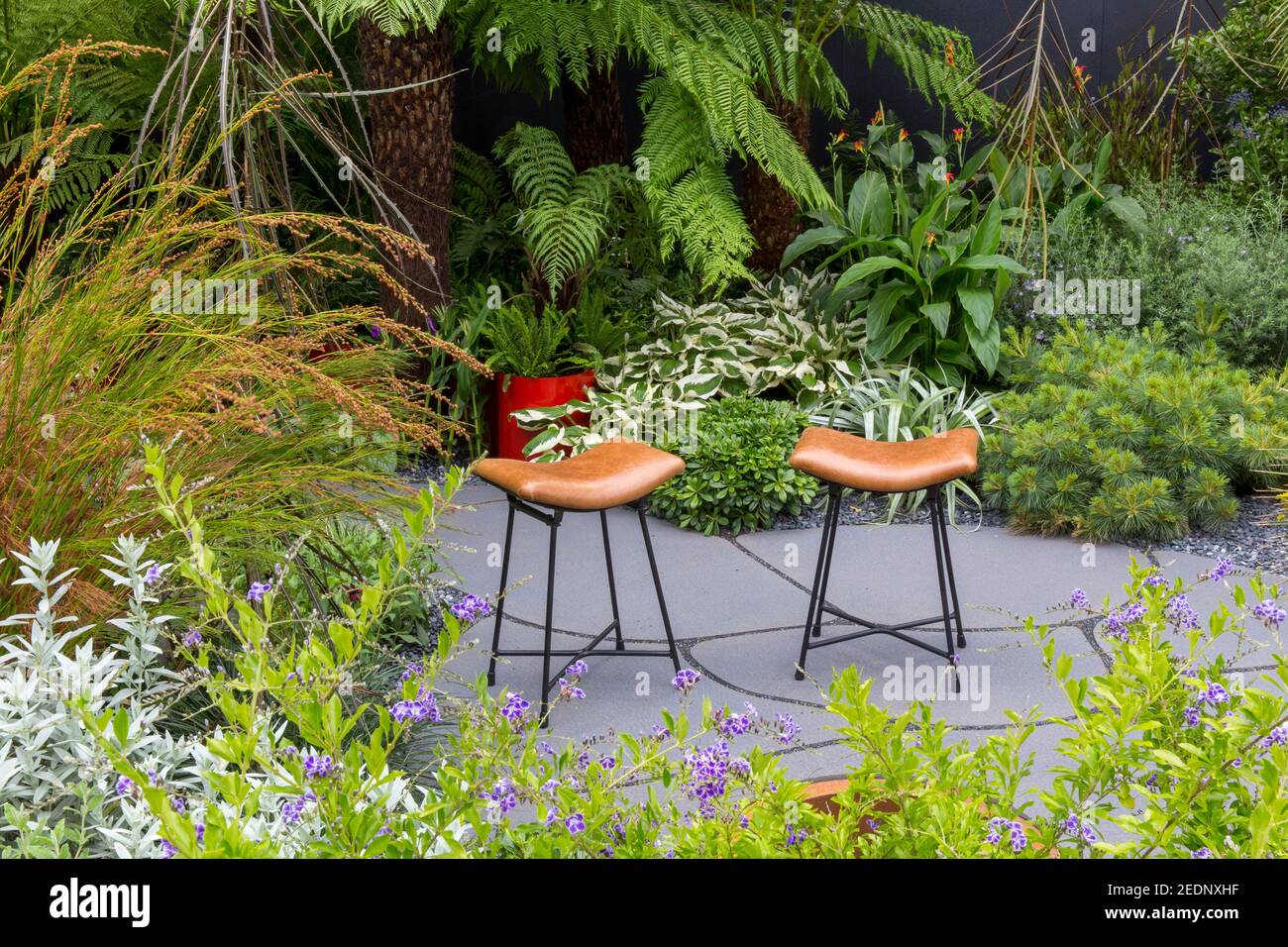 Moderne Gartensitze auf Steinpflasterterrasse mit grünem Gartenrand mit Baumfarnen Dicksonia Antarktis und schattenliebenden Pflanzen in Großbritannien Stockfoto