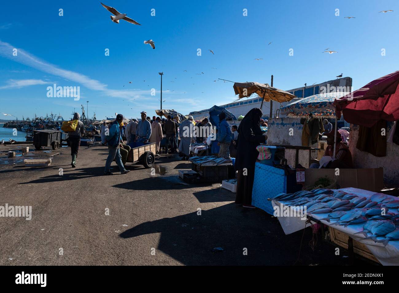 Essaouira, Marokko - 15. April 2016: Menschen kaufen Fisch auf einem Straßenmarkt im Hafen der Stadt Essaouira, an der Atlantikküste von Marokko. Stockfoto