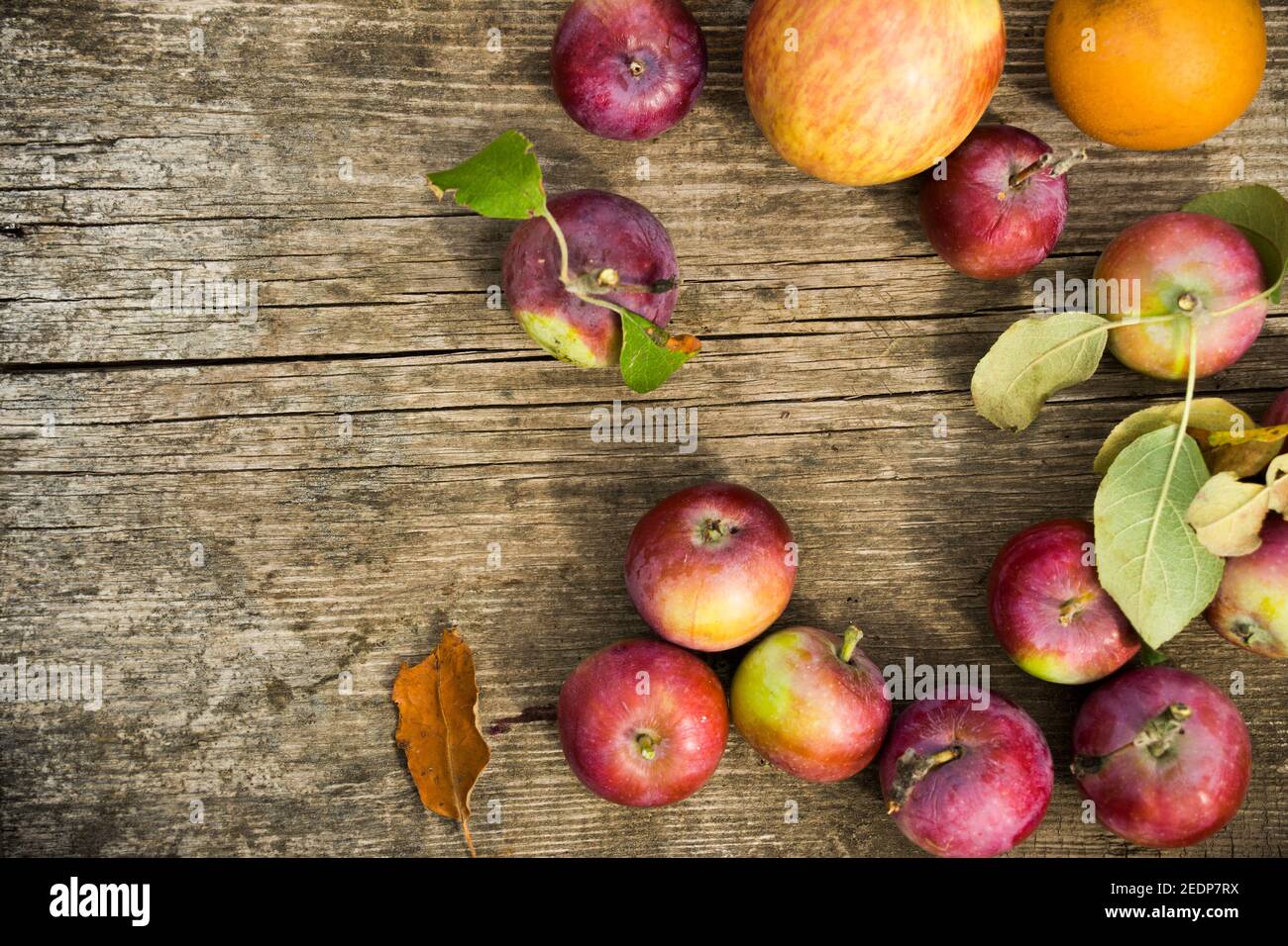 Reife Äpfel auf einem hölzernen Hintergrund Stockfoto