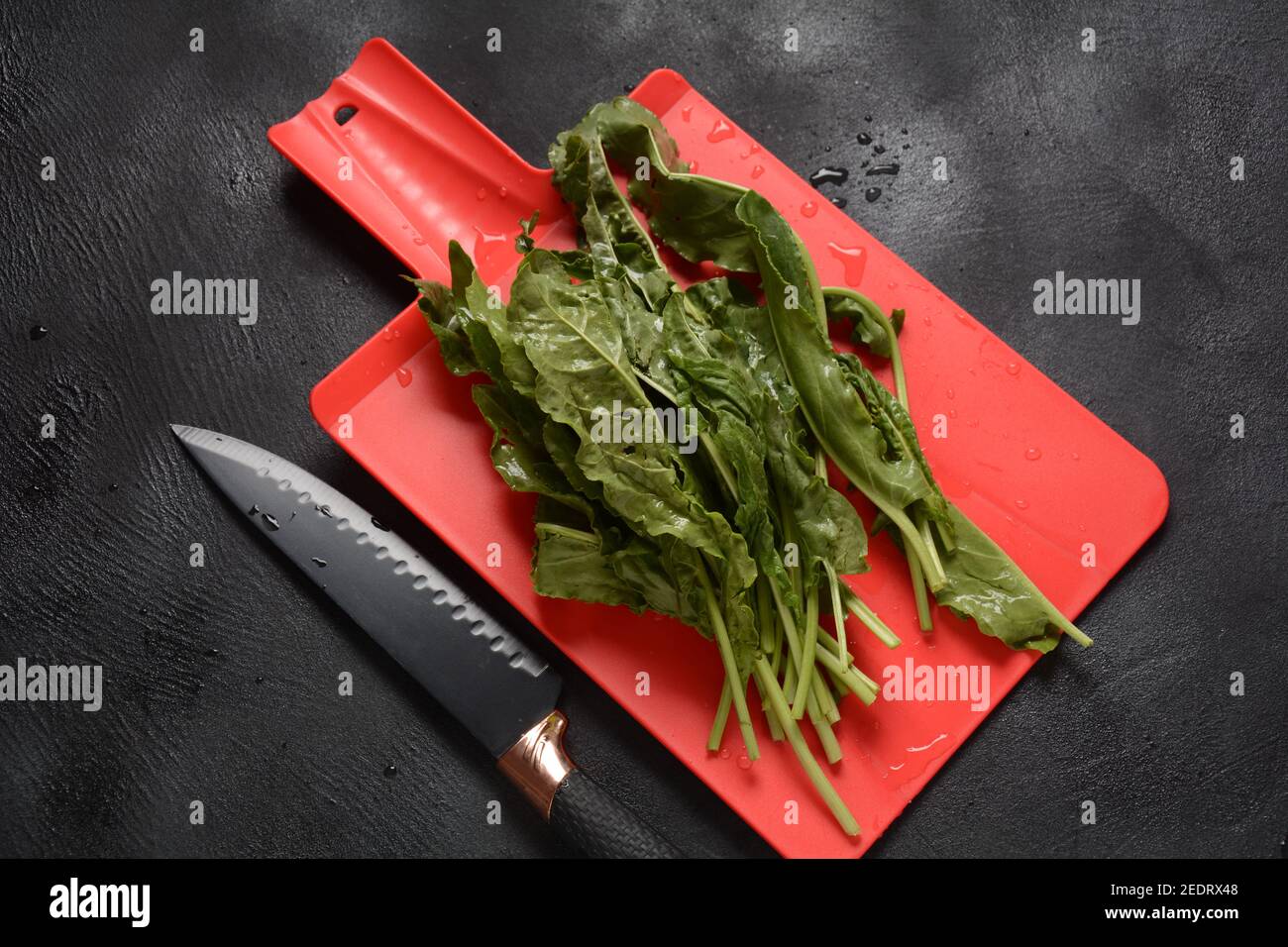 Frisches grünes Sauerampfer auf rotem Schneidebrett. Kochen oder Zubereitung von Speisen Konzept. Stockfoto