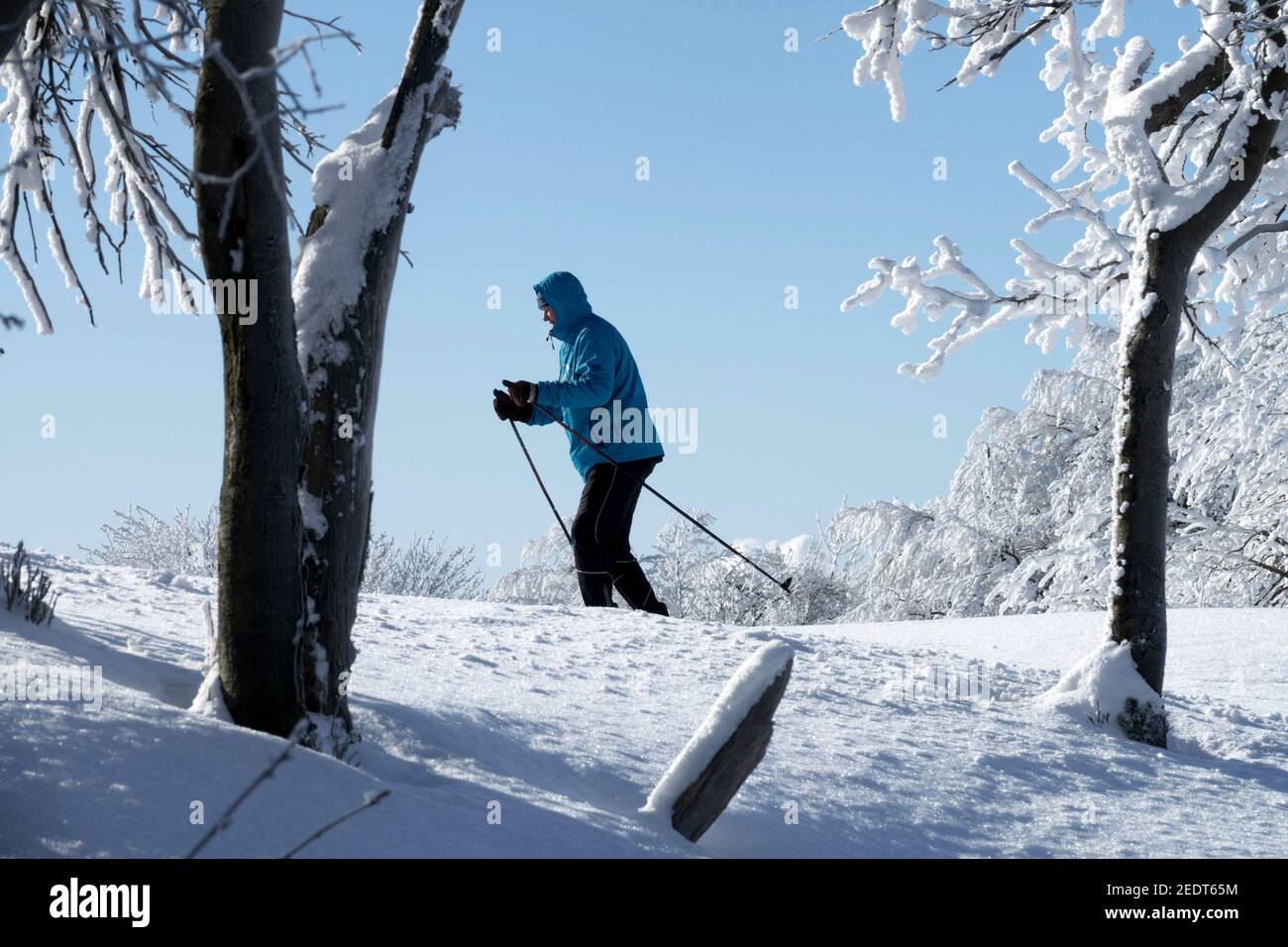 Senior Skier im Winter Skilanglauf Senior man in der Schneelandschaft Stockfoto