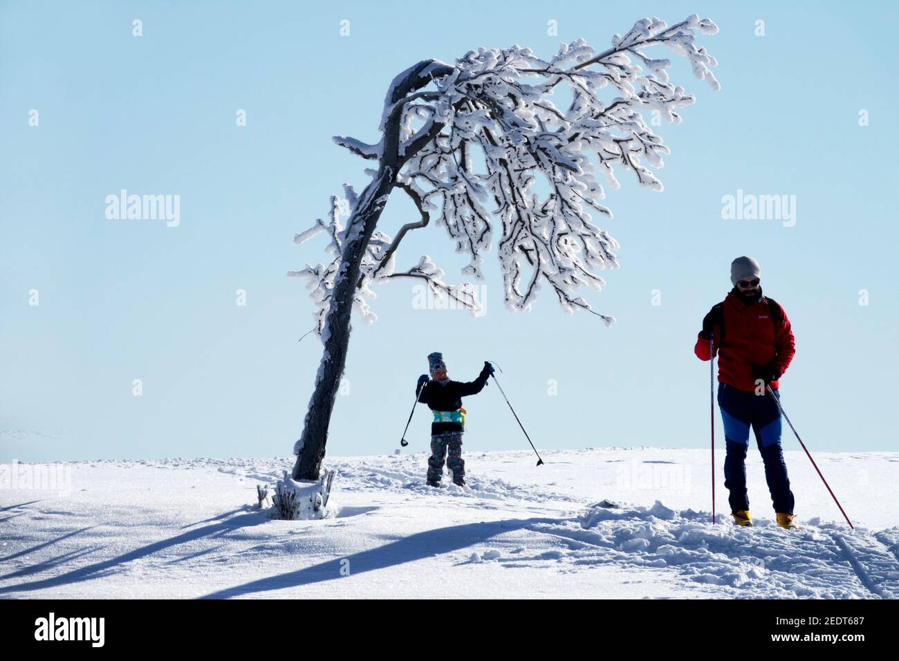 Genießen Kind Vater und Sohn auf der Piste, Skifahrer Langlaufen in schneebedeckten Bergen Tschechien Reif Baum Stockfoto