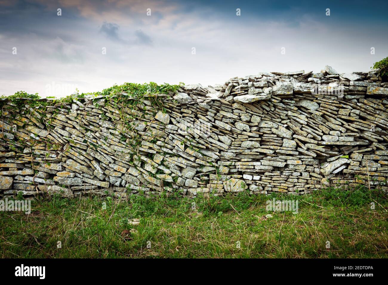 Trockensteinmauer in Dorset, einer alten Feldgrenze Stockfoto