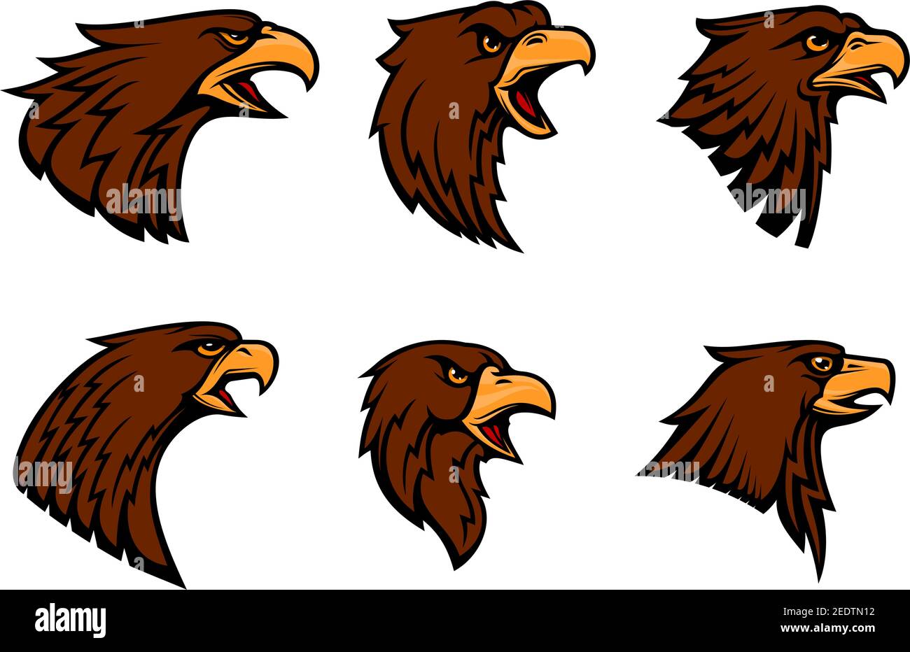 Hawk Vektor-Symbole für Sport-Team Maskottchen Emblem oder Blazon. Isoliertes Abzeichen des harten Adlers Greifen oder Geier Vogel Symbol mit Schnabel für Heraldik, militar Stock Vektor