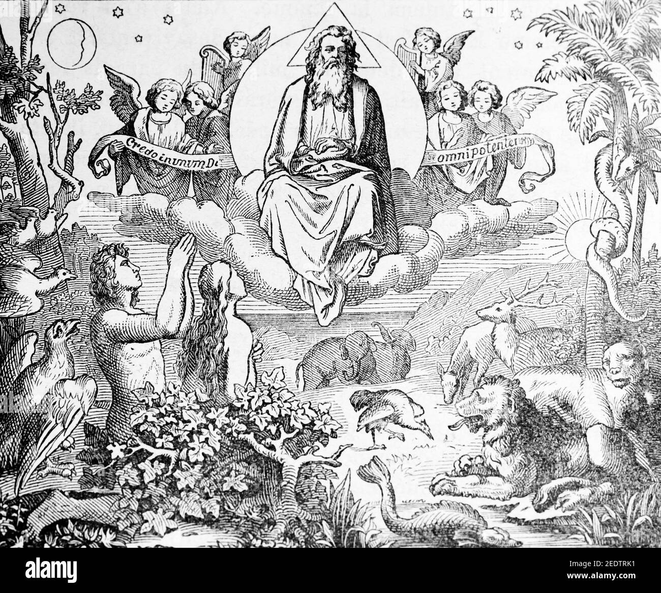 Erschaffung des ersten Menschen, Paradies, das erste Gebot und die Erschaffung von Eva, Histoire Biblique de L´Ancien Testament, Stockfoto