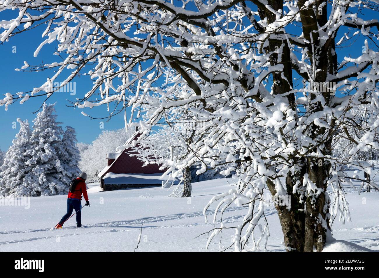 Tschechische Republik Szene schneebedeckte Landschaft mit einsamen Skifahrer Stockfoto