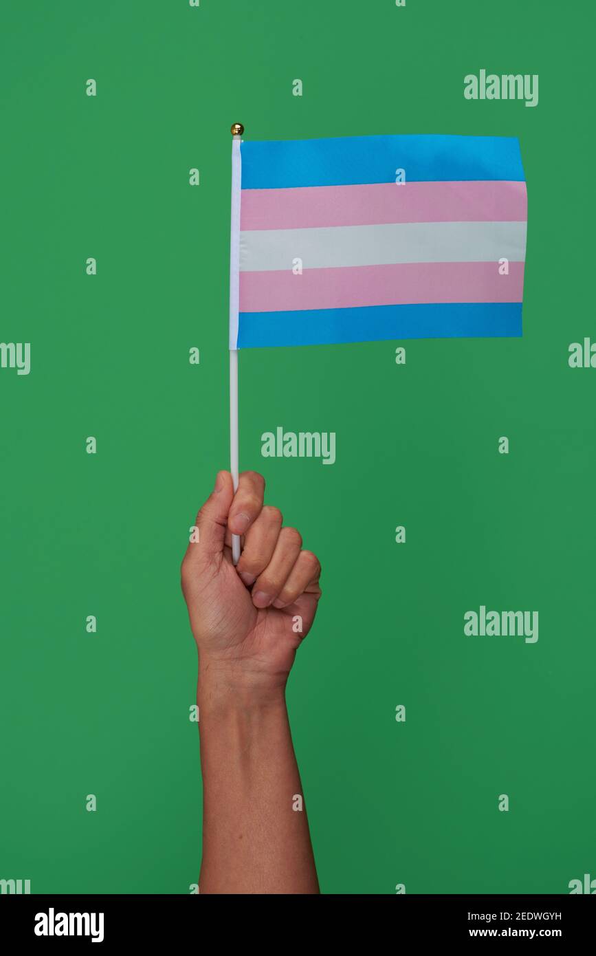 Nahaufnahme einer jungen kaukasischen Person, die einen Transgender-Stolz winkt Flagge vor grünem Hintergrund Stockfoto