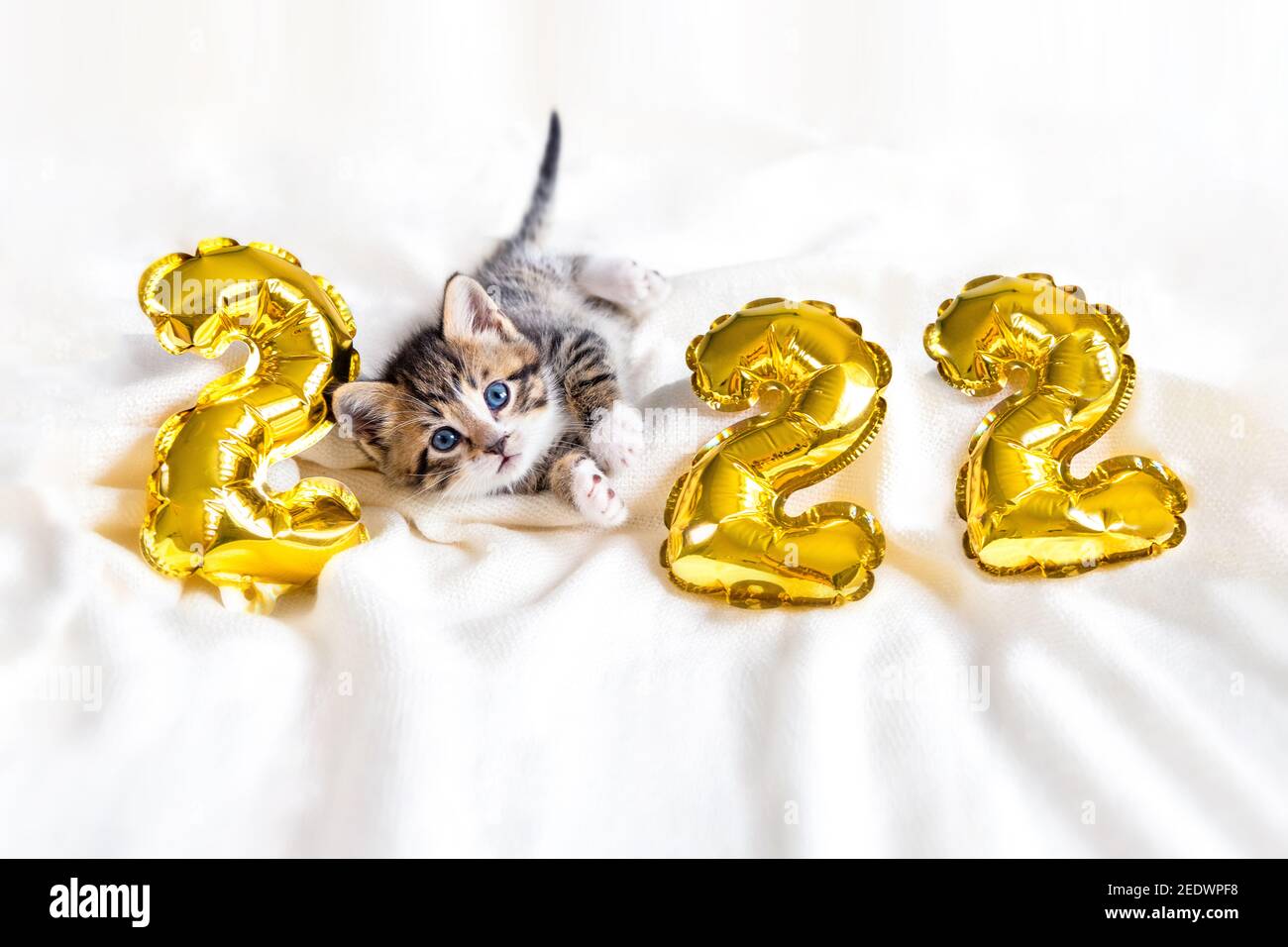 Frohe Weihnachten Und Gutes Neues Jahr 2022 Frohes Neues Jahr 2022 Stockfotos und bilder Kaufen Alamy