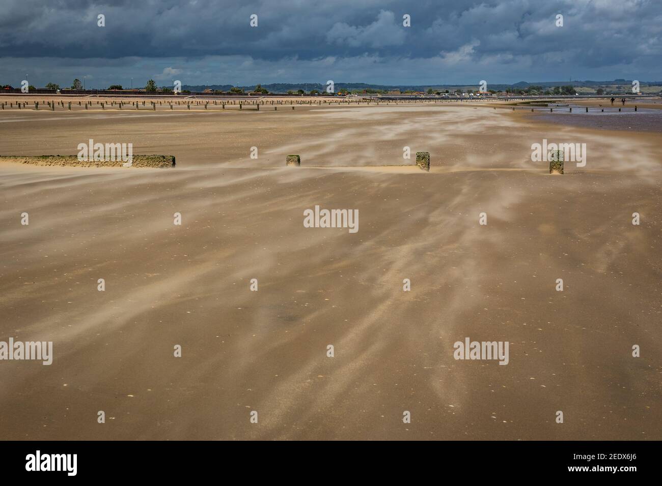 Sandsturm an einem einsamen Strand in Dymchurch, Kent, England Stockfoto