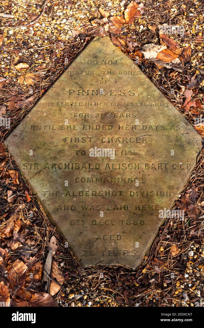 Militärpferdefriedhof im Aldershot Army Golf Club, Hampshire, Großbritannien, mit fünf Gedenksteinen aus den Jahren 1880 bis 1899 Stockfoto