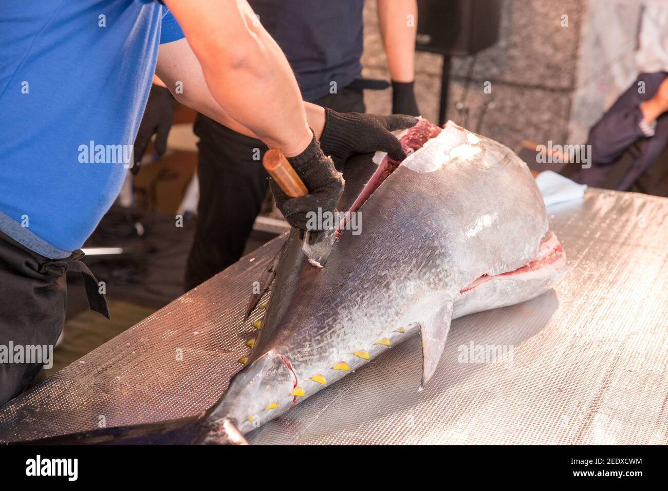 Japanische Thunfisch-Demontageausstellung am Bahnhof Hakata Stockfoto