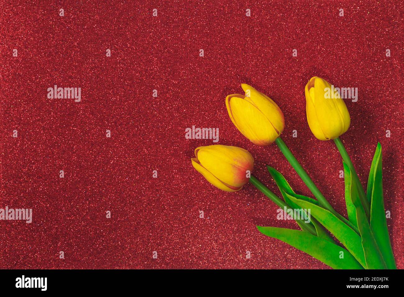 Gelbe Tulpen auf rotem Hintergrund mit Glitzer. Festkarte für März 8, Happy Mother's Day, Ostern. Speicherplatz kopieren Stockfoto