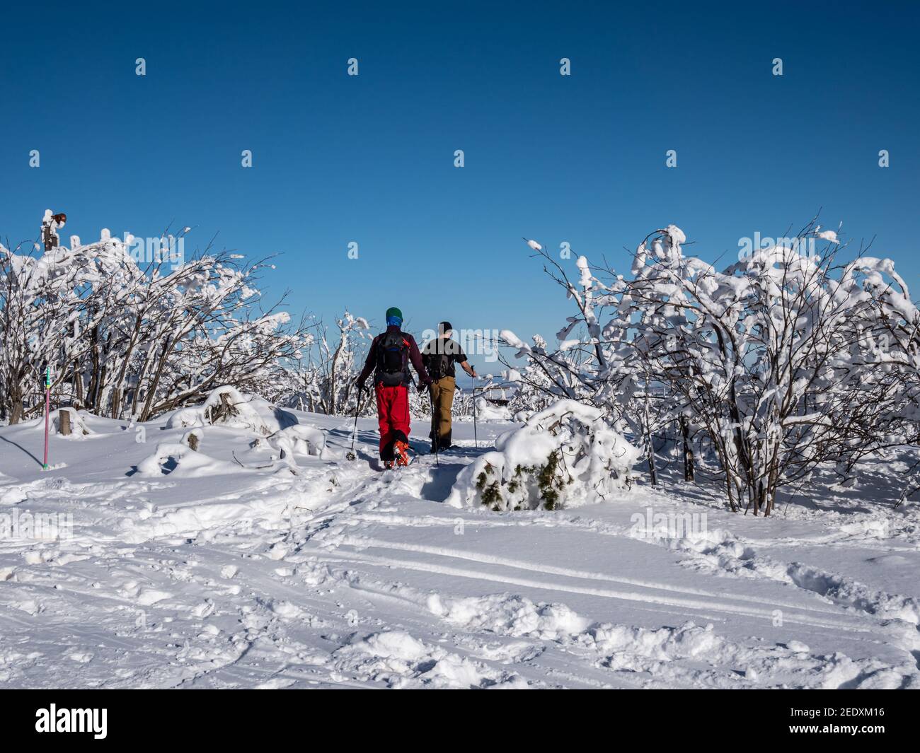 Wintersportler in einer Winterlandschaft im Erz Berge Stockfoto