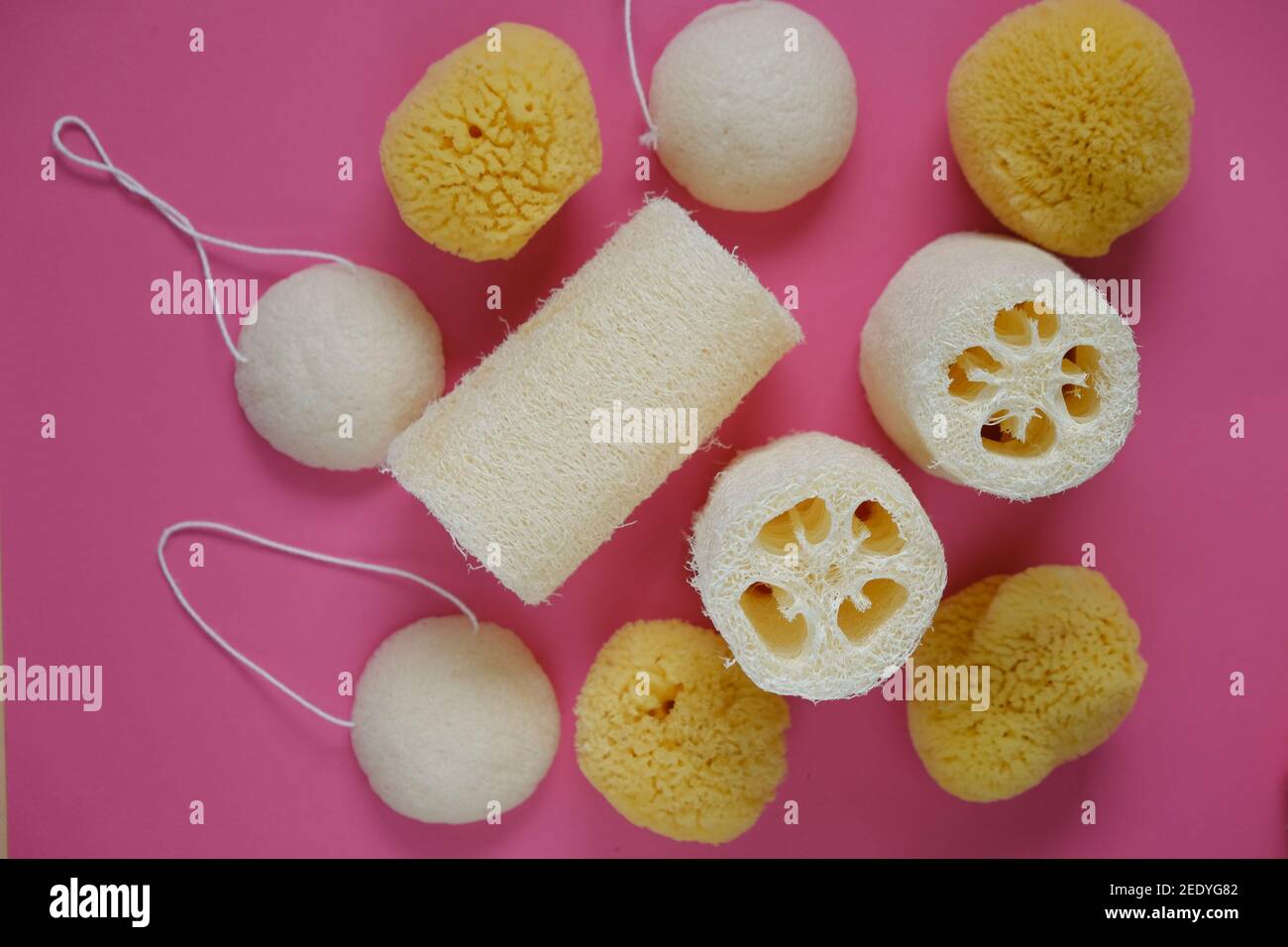 Zero Waste Konzept. Natürliche Bio-Hygiene-Produkte. Loofah Schwamm und schwammig konnyaku auf einem hellen rosa Hintergrund gesetzt.vernünftiger Verbrauch Stockfoto