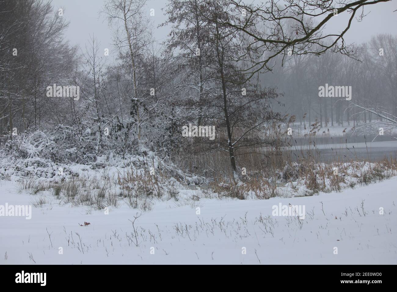 Winter im Stadtpark Staddijk Stockfoto