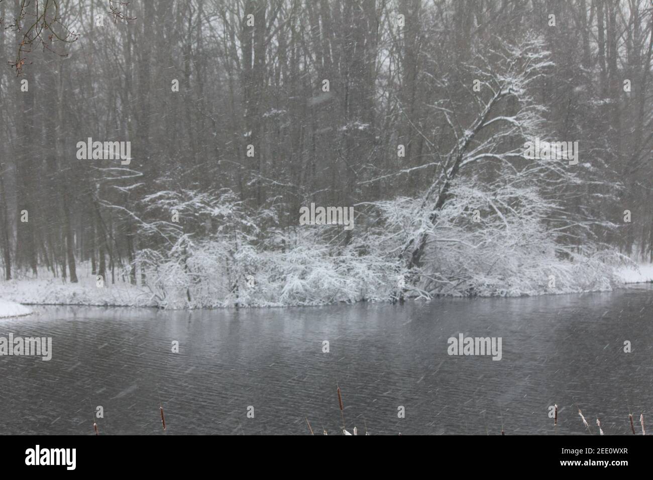 Winter im Stadtpark Staddijk Stockfoto