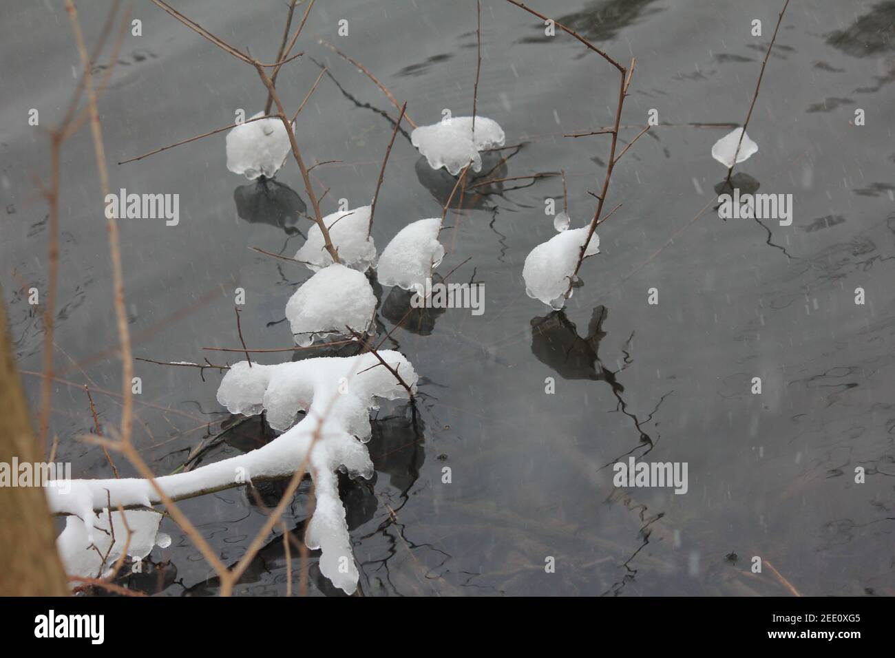 Winter im Stadtpark Staddijk Stockfoto