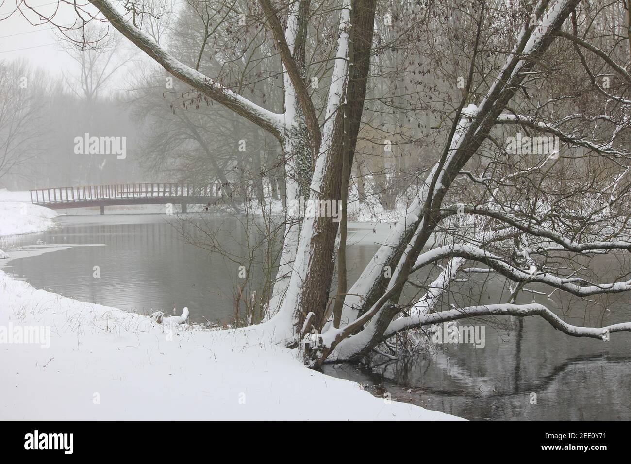 Winter im Stadtpark Staddijk Stockfoto