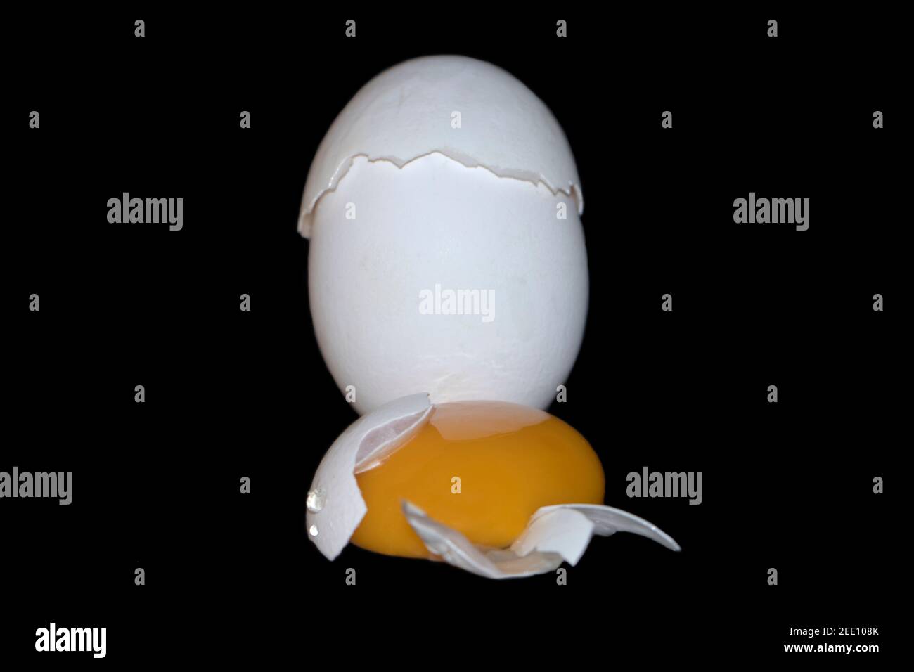 Hühnereier und Eigelb Stockfoto