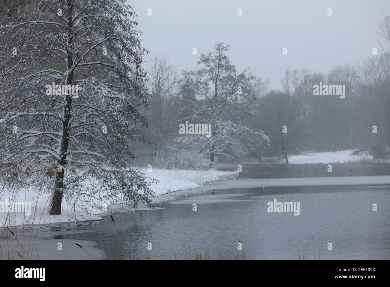 Winter im Stadtpark Staddijk Stockfoto