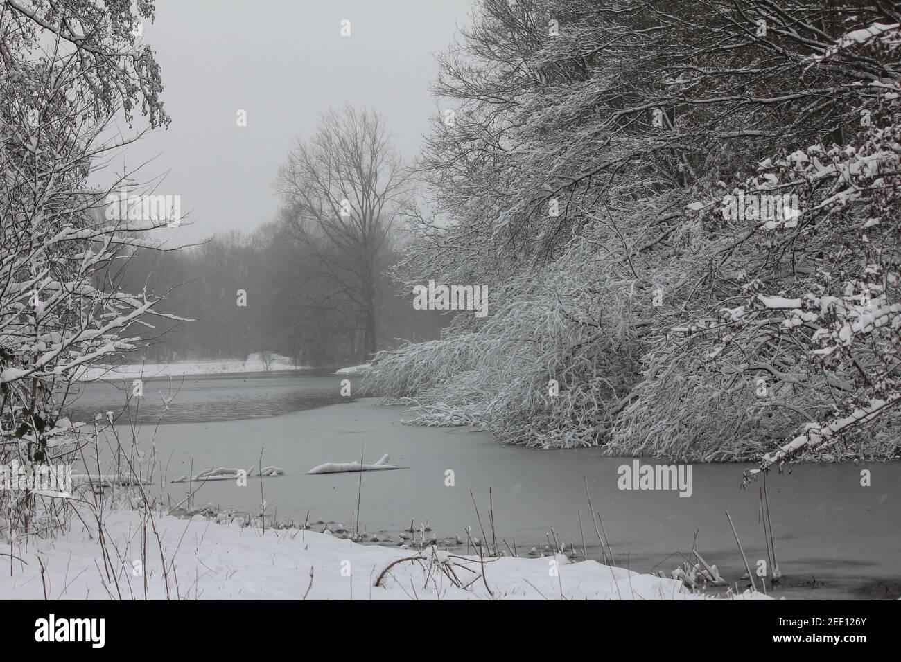 Winter im Stadtpark Staddijk Stockfoto