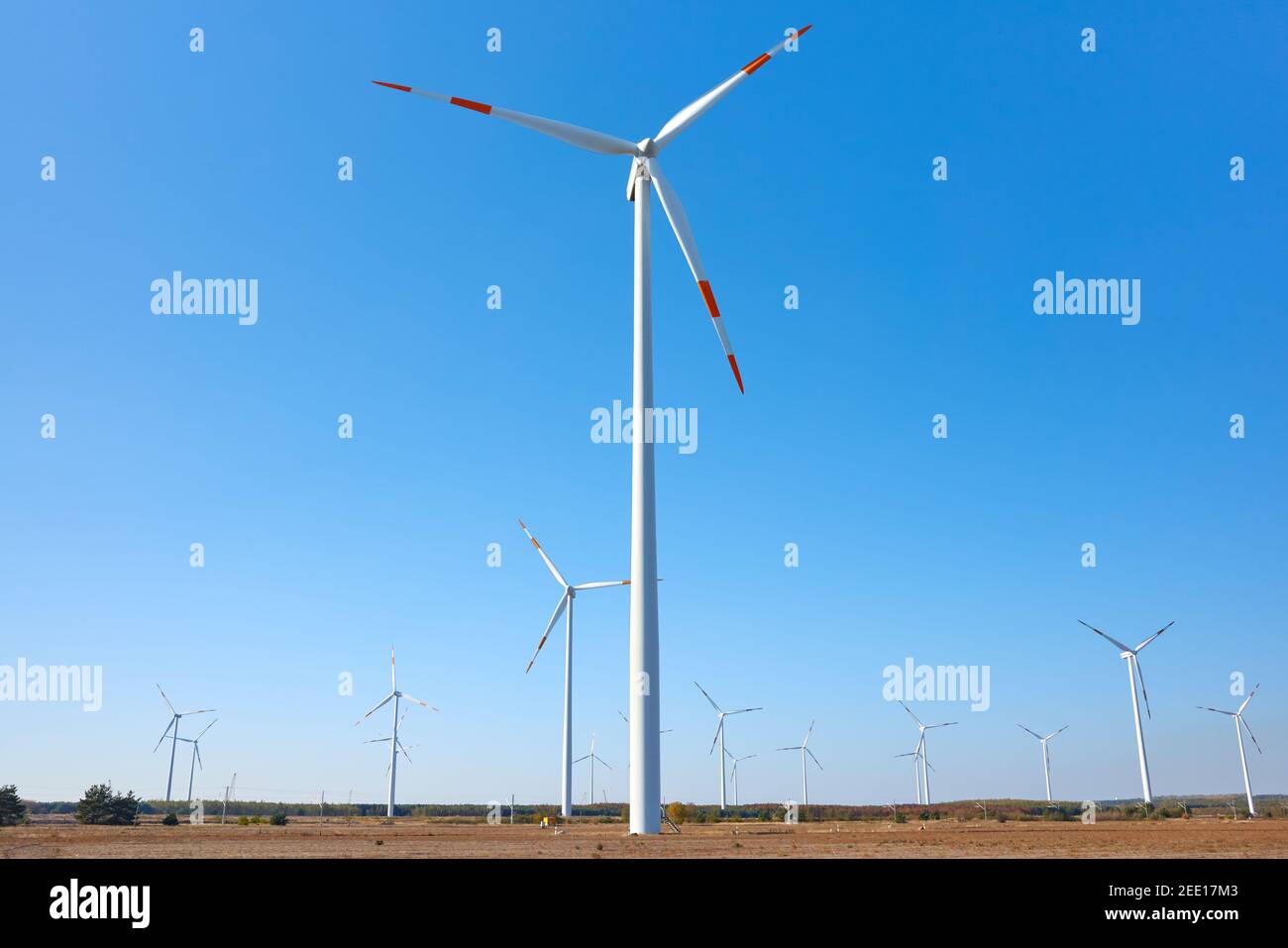 Bild von einem Windturbinenpark am blauen Himmel. Stockfoto