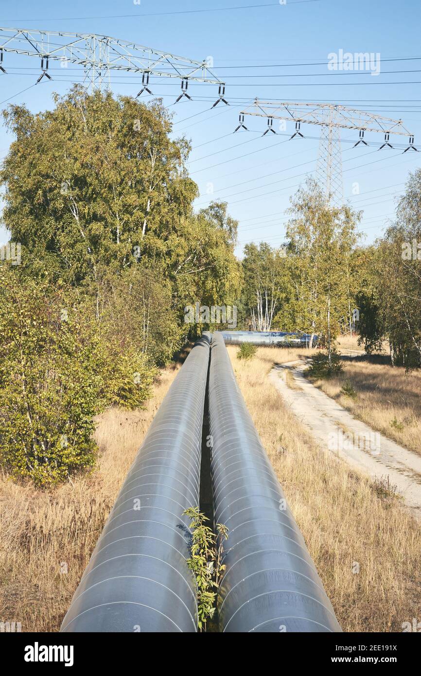 Pipeline mit Hochspannungstürmen im Hintergrund in einem Wald. Stockfoto