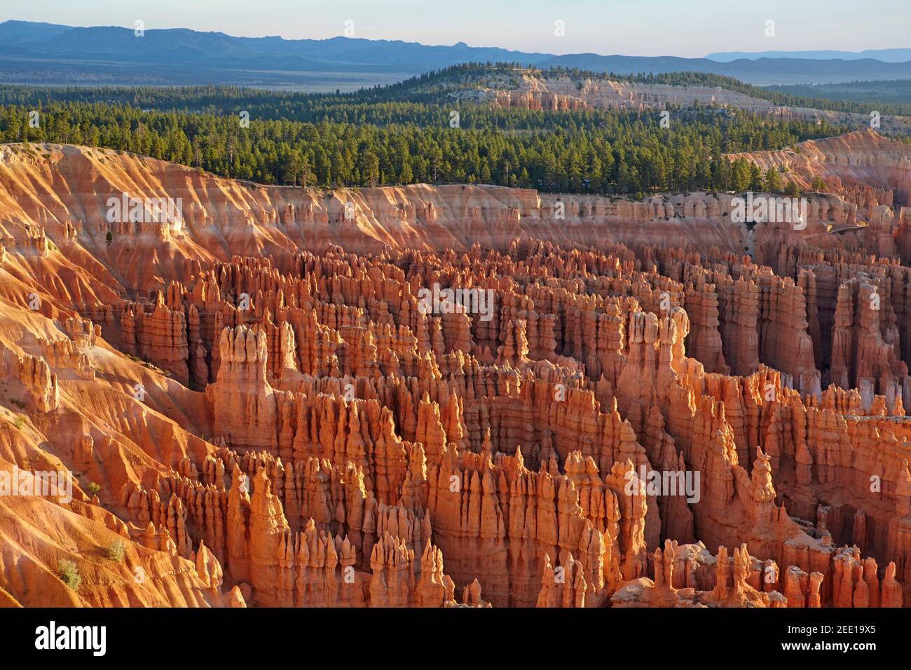 Bryce Canyon, Utah, Vereinigte Staaten von Amerika Stockfoto