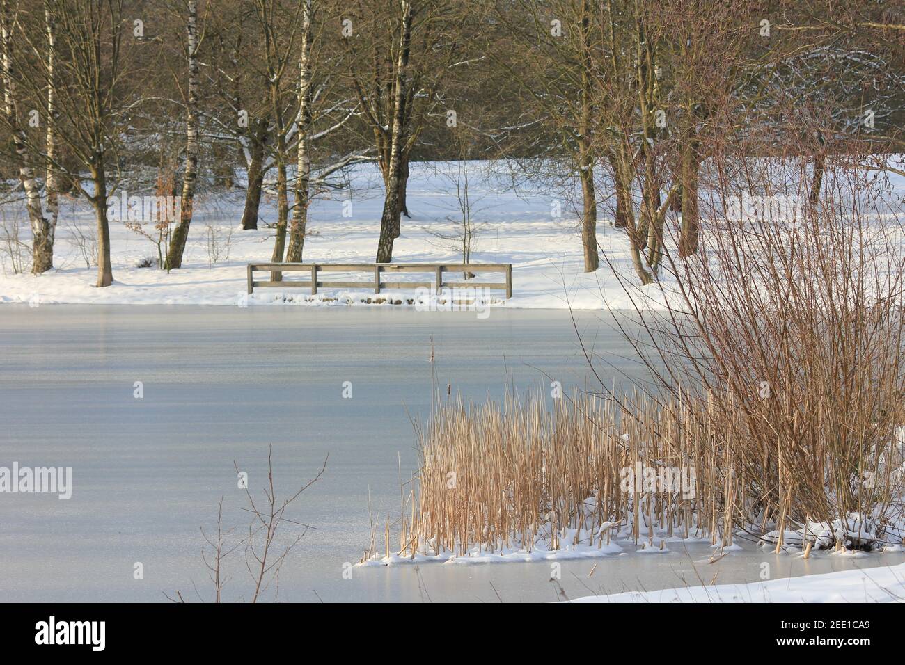 Winter im Stadtpark Staddijk Stockfoto