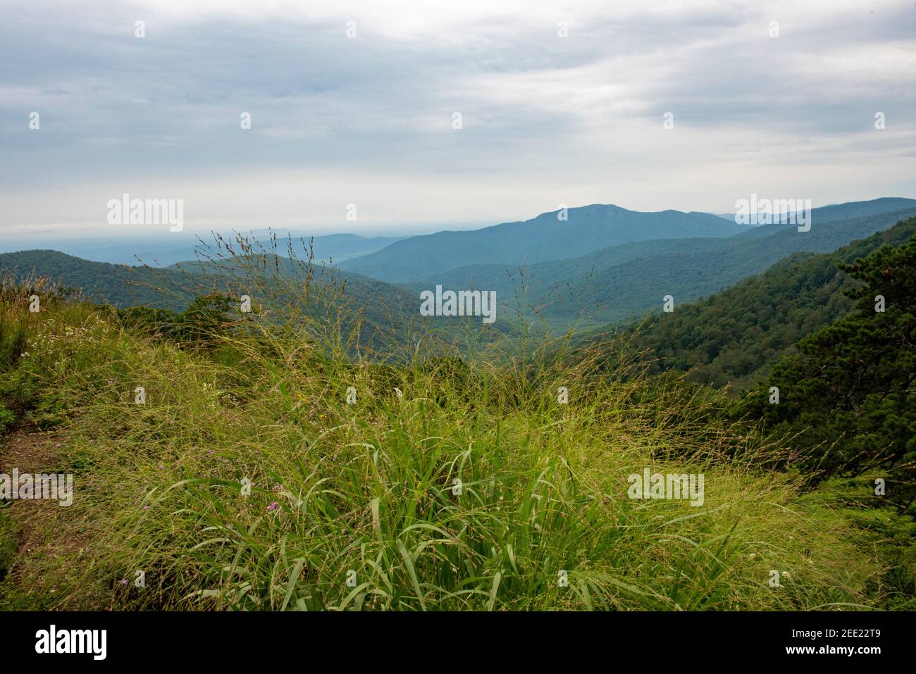 Die Blue Ridge Mountains vom Skyline Drive im Shenandoah National Park aus gesehen. Stockfoto
