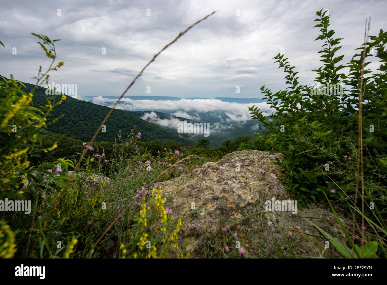 Clounds Rollen über die Blue Ridge Mountains, vom Skyline Drive im Shenandoah National Park aus gesehen. Stockfoto