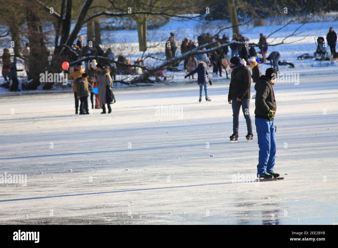 Winter im Stadtpark Staddijk Stockfoto