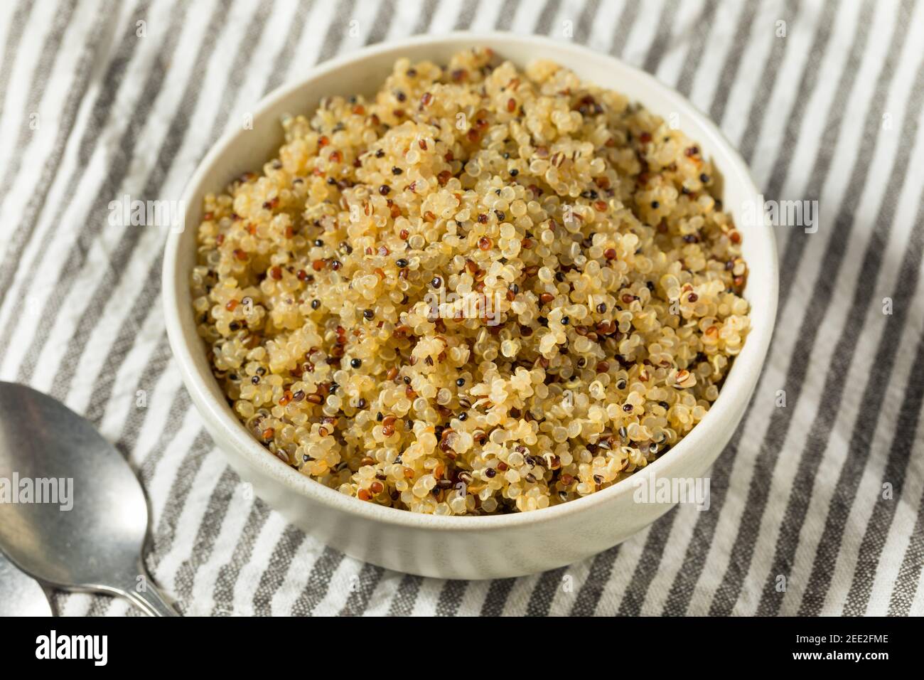 Gesunde gekochte weiße Quinoa bereit zu essen Stockfoto