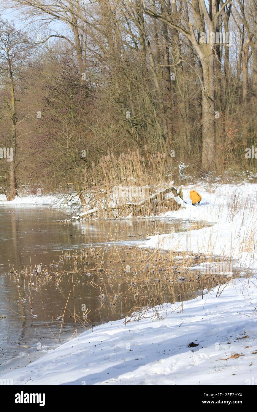 Winter im Stadtpark Staddijk Stockfoto