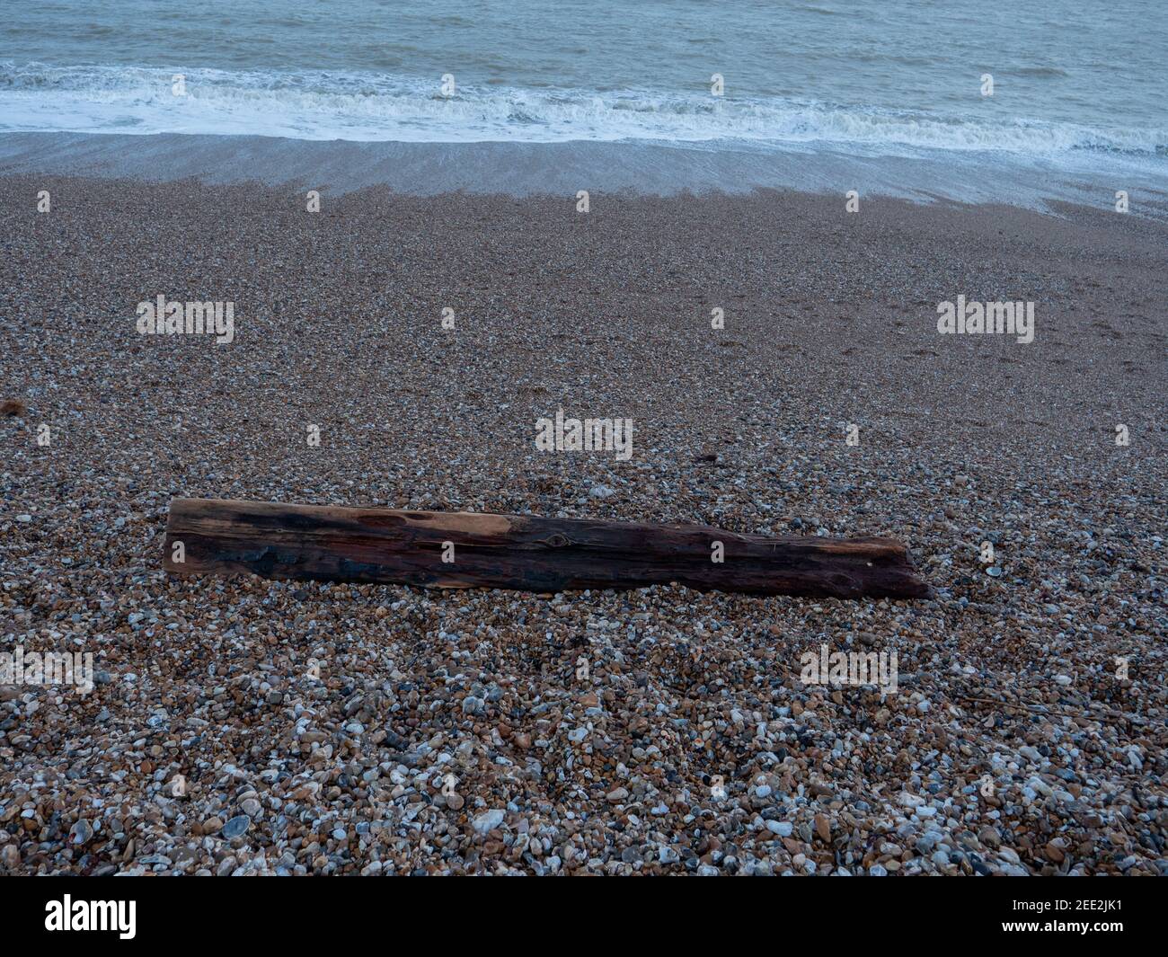 Großer Baumstamm am Kiesstrand an der Südküste Englands. Stockfoto