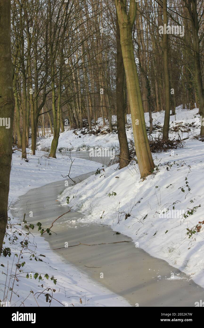 Winter im Stadtpark Staddijk Stockfoto