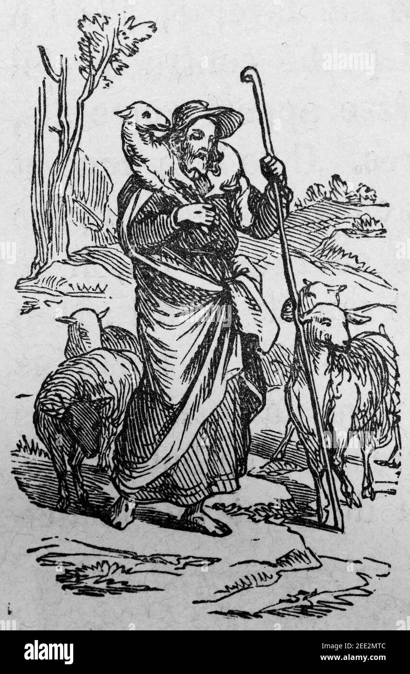 Jesus, der gute Hirte und das verlorene Schaf, Szene des Neuen Testaments, Histoire Biblique de L´Ancien Testament, Stockfoto