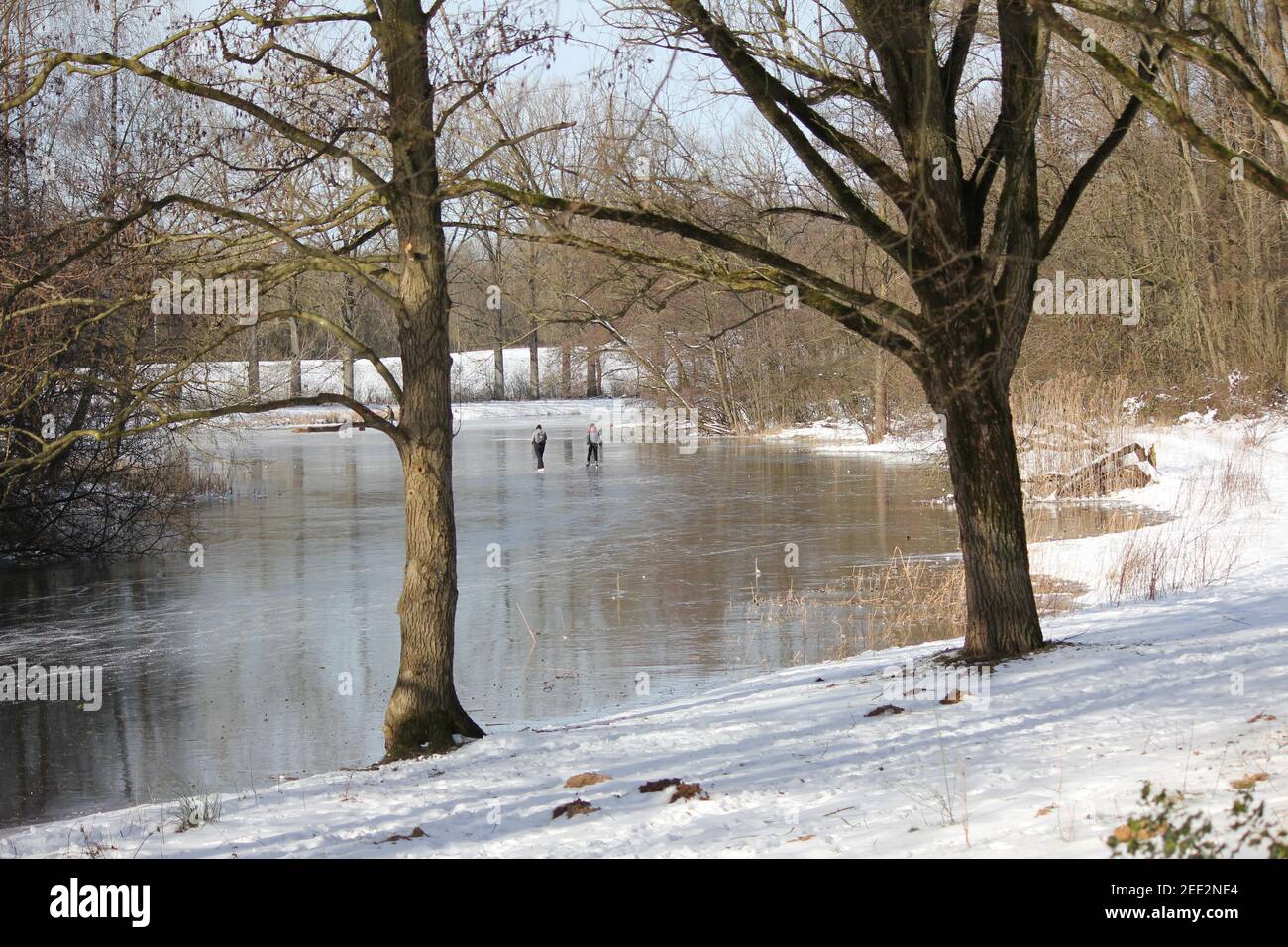 Winter im Stadtpark Staddijk Stockfoto