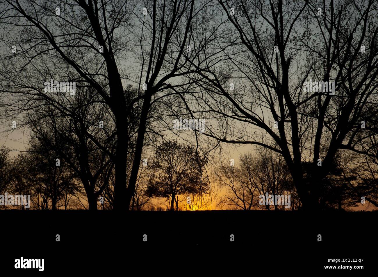 Sonnenuntergang in Ohio (November 2009) Stockfoto
