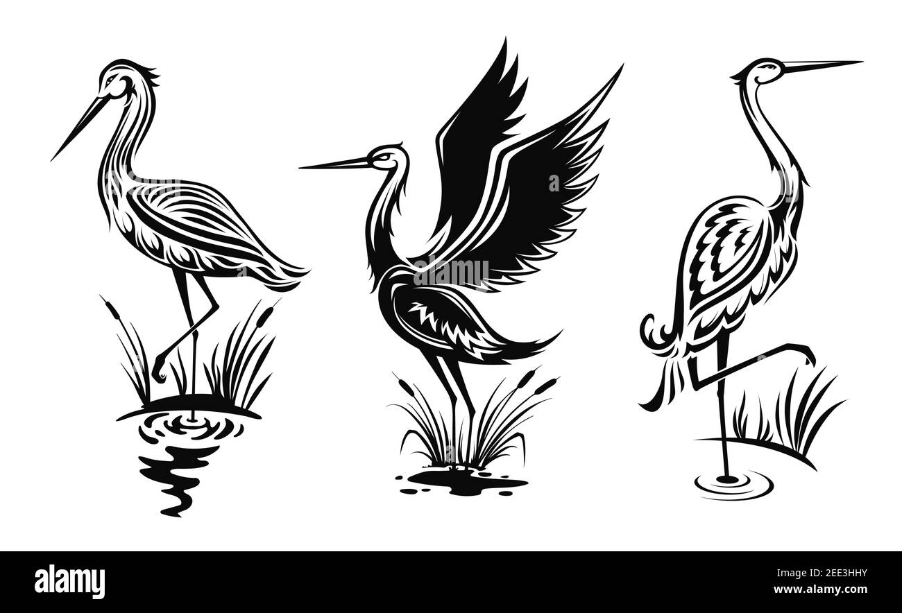 Reiher oder Watvögel Vektor-Ikonen, schwarze hern Silhouetten stehen im Sumpfwasser mit Schilf. Reiher mit kunstvollen Körper watend in Sumpf Seitenansicht, Tattoo d Stock Vektor