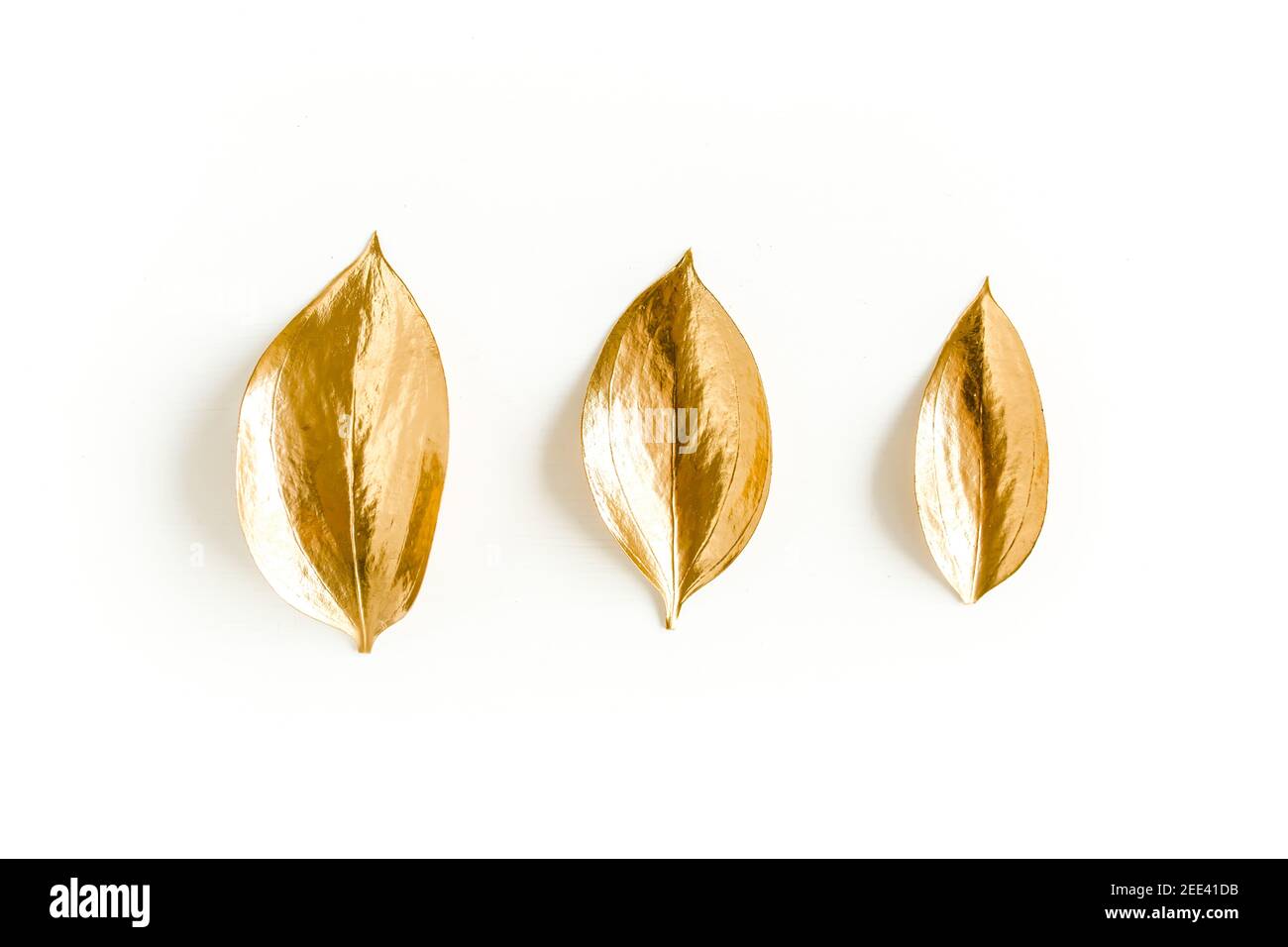 Muster, Textur mit goldenen Blättern isoliert auf weißem Hintergrund. Flach liegend, Draufsicht Stockfoto